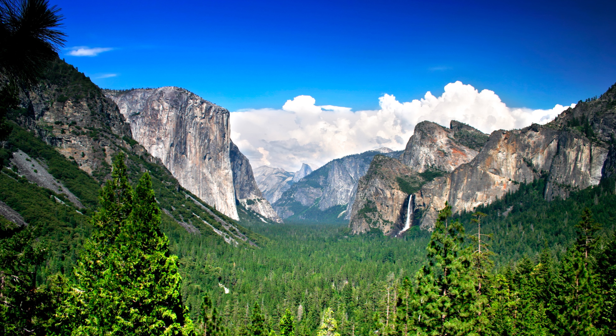 在庫超特価ヨセミテ国立公園 写真集 100年間 Yosemite 洋書 洋書